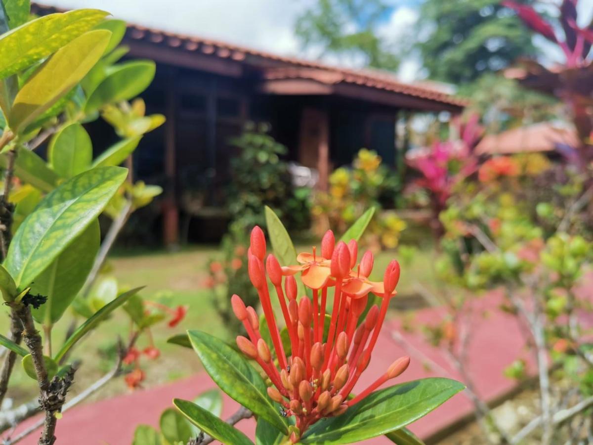 Hotel Canto De Ballenas Uvita Luaran gambar