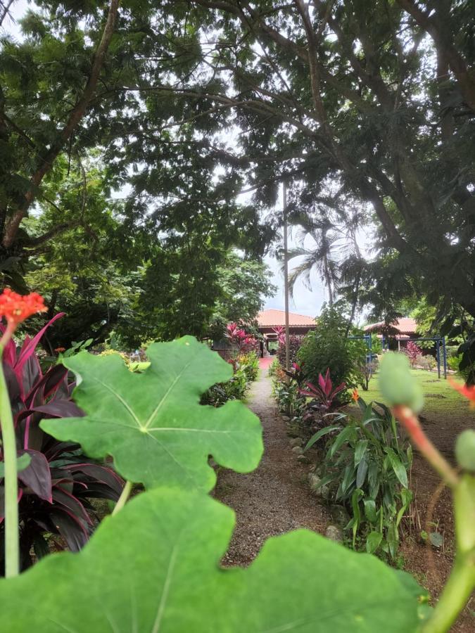 Hotel Canto De Ballenas Uvita Luaran gambar