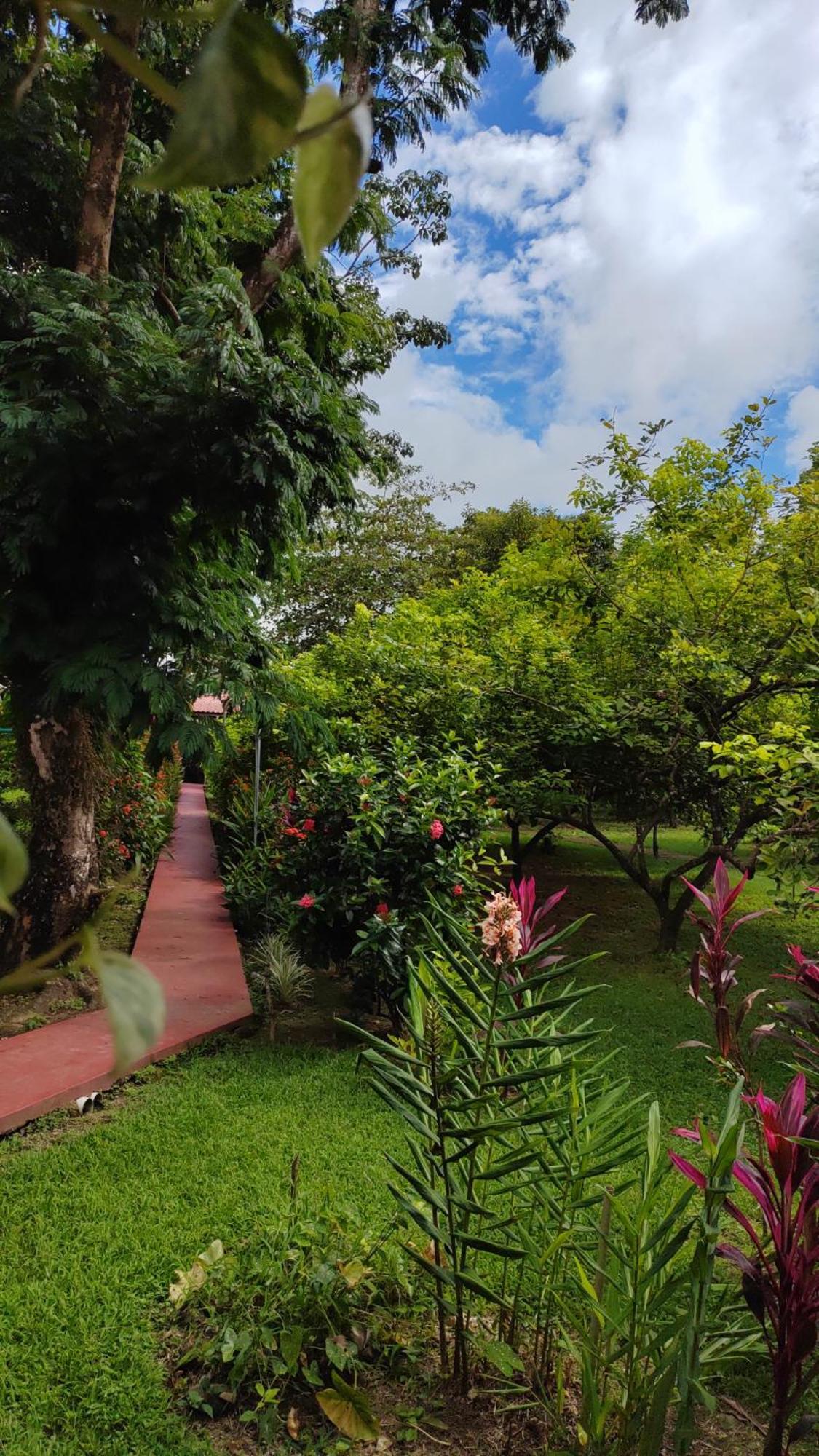 Hotel Canto De Ballenas Uvita Luaran gambar